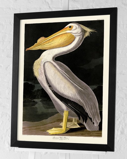 Beadle Crome Interiors American White Pelican