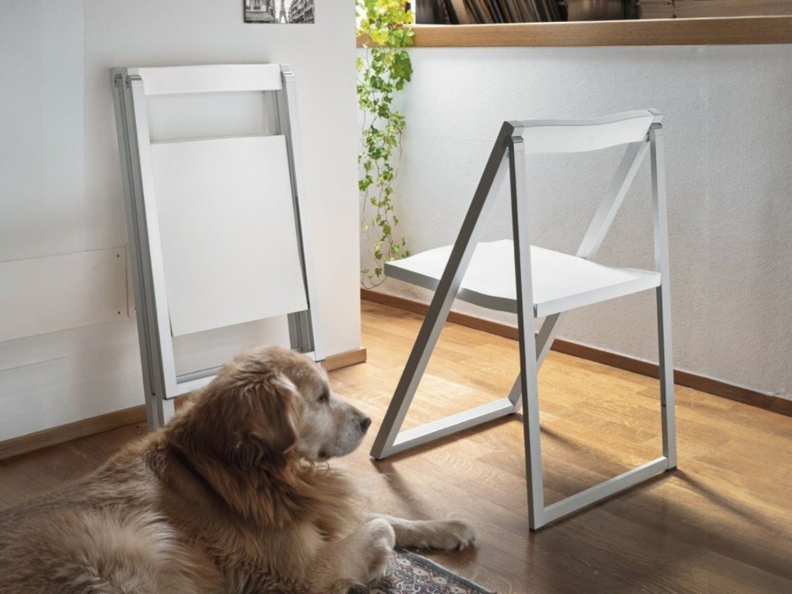 Table Sedie Skip Calligaris Tavoli Sedie Pieghevoli Olivia