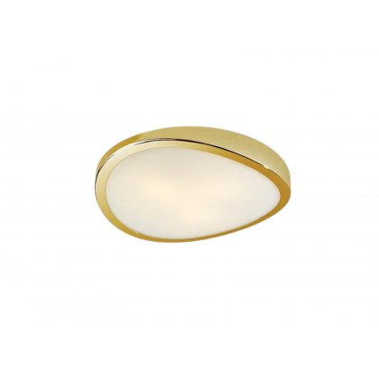 Hawk Ceiling Light