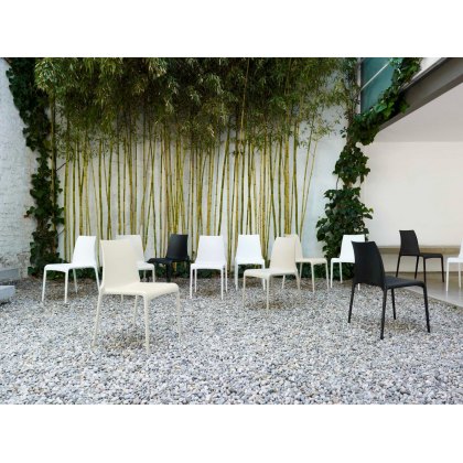 Petra Indoor/Outdoor Chair Petra Indoor/Outdoor Chair