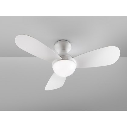 Vivaan Ceiling Fan Light