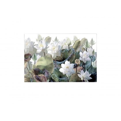 Water Lilys Wall Art A