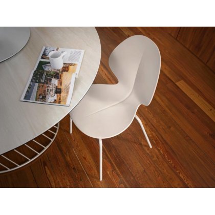 Basil CS1359 Chair By Calligaris Basil CS1359 Chair By Calligaris