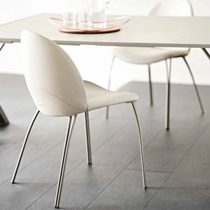 Holly Chair By Cattelan Italia