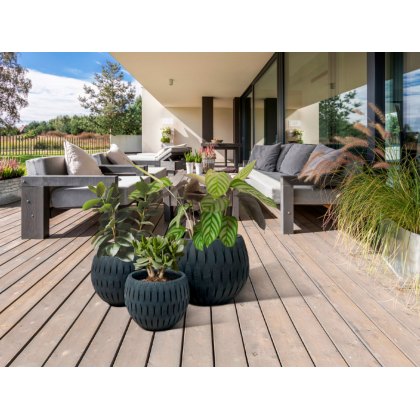 Yuca Set of three planters