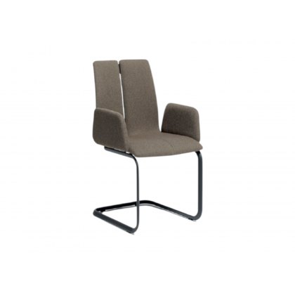 Carl Dining Chair With Arms By Venjakob