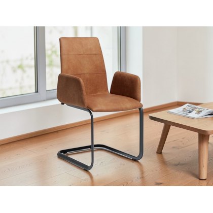 Dennis Dining Chair With Arms By Venjakob