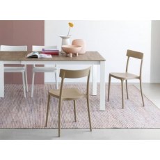 Argo Chair By Connubia