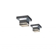 Legion Single Ceiling Lights