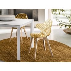 Saint Tropez Wooden Leg Chair By Calligaris