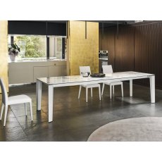 Delta Table 220cm x 100cm By Calligaris