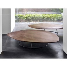 Pebble Coffee Table