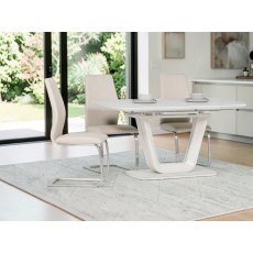 Arcalia chair with brushed steel base