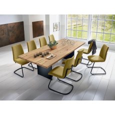 Venjakob Ceo ET244 Table