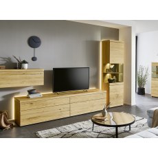 Venjakob V Plus 3000 TV Unit Venjakob V Plus 3000 TV Unit
