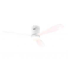 Ventola Ceiling Fan Light
