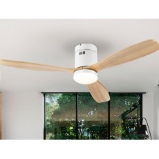 Ventola Ceiling Fan Light