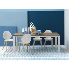 Basil CS1348 Chair By Calligaris