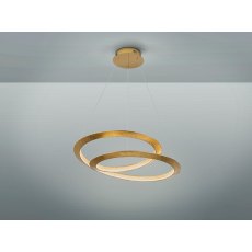 Erick Ceiling Light