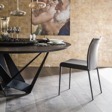 Anna Chair By Cattelan Italia