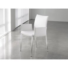 Anna Low Back Chair With Arms By Cattelan Italia