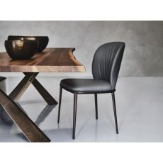 Chris Chair By Cattelan Italia