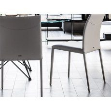 Norma Low Back Chair By Cattelan Italia Norma Low Back Chair By Cattelan Italia