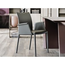 Norma Low Back With Arms Chair By Cattelan Italia Norma Low Back With Arms Chair By Cattelan Italia