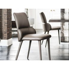 Ginger Chair By Cattelan Italia