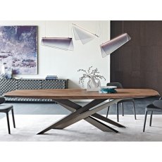 Lancer Wood Table By Cattelan Italia