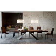 Eliot Wood Fixed Table By Cattelan Italia
