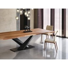 Stratos Wood Table By Cattelan Italia