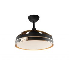 Hunter Ceiling Fan Light