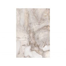 Evolution Rug Evolution Rug