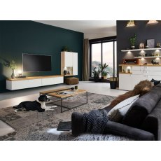 Venjakob Plan X2 Wall Mounted TV Unit
