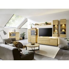 Venjakob V Plus 3000 5698 TV Unit