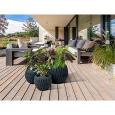 Yuca Set of three planters