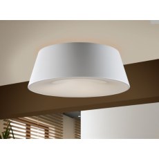 Zeus Flush Ceiling Light