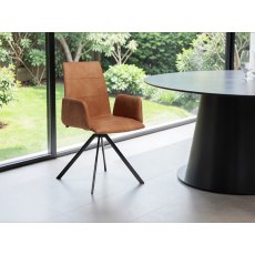 David Dining Chair With Arms By Venjakob David Dining Chair With Arms By Venjakob