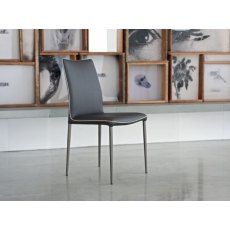 Nata Low Back Metal Frame Chair By Bontempi