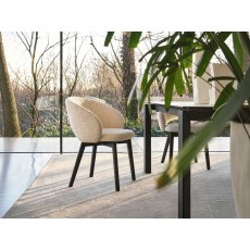 Anime Dining Chair With Wooden Legs By Calligaris