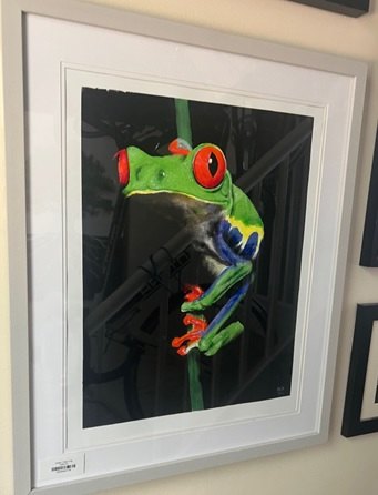 Beadle Crome Interiors Special Offers Tree Frog At Night Artwork