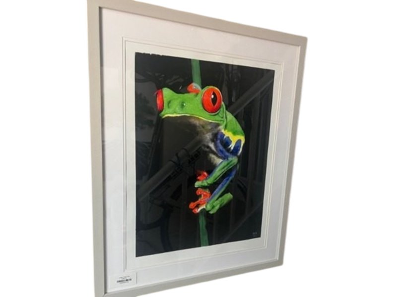 Beadle Crome Interiors Special Offers Tree Frog At Night Artwork