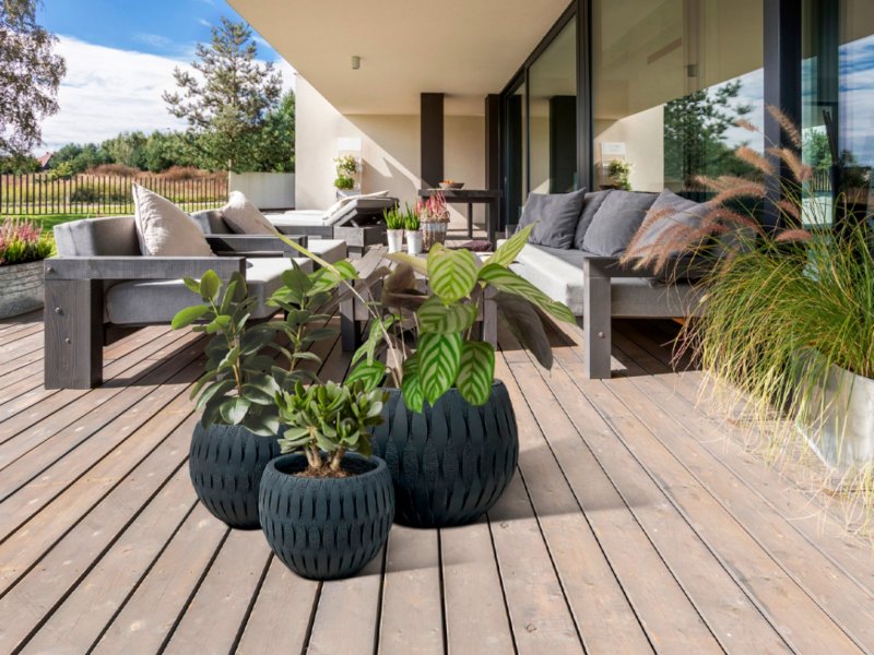 Beadle Crome Interiors Yuca Set of three planters