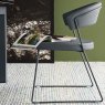 Calligaris New York Chair With Sled Base