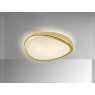 Beadle Crome Interiors Hawk Ceiling Light