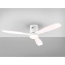 Beadle Crome Interiors Ventola Ceiling Fan Light
