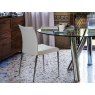 Cattelan Italia Anna Chair By Cattelan Italia