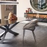 Cattelan Italia Camilla Chair With Metal Legs By Cattelan Italia