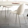 Cattelan Italia Holly Chair By Cattelan Italia